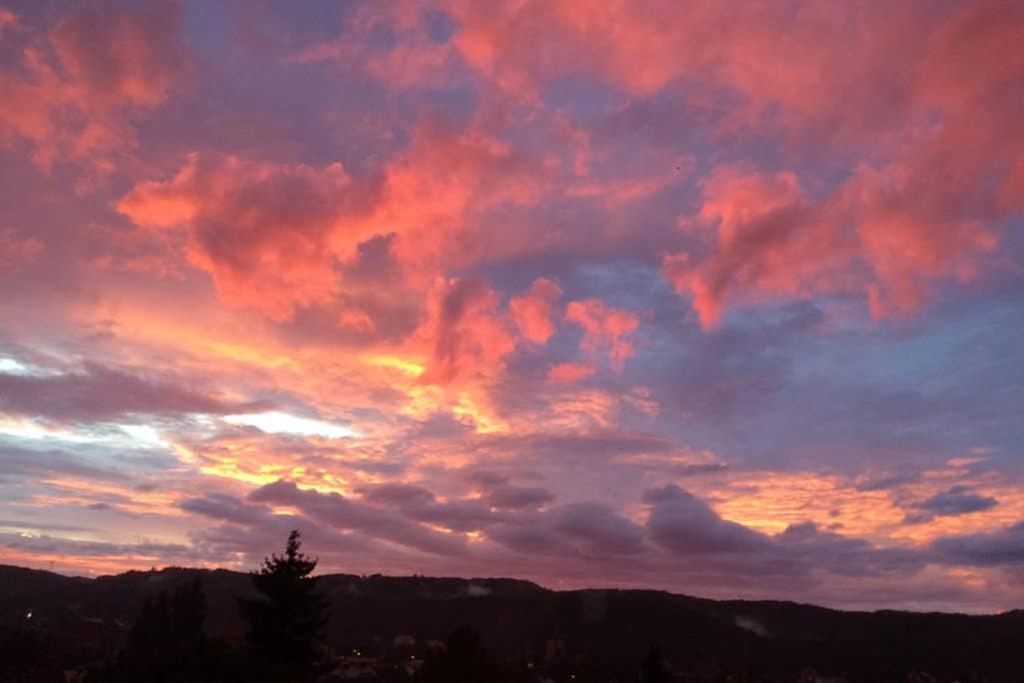 Wohlfuehloase Mit Blick Auf Trier 아파트 외부 사진